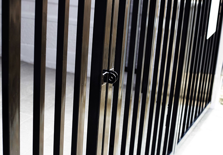 Iron Gates and Automation: Blending Security with Convenience in Modern Living